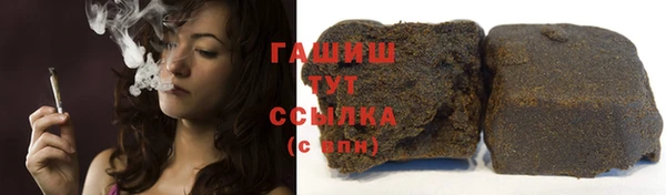 шишки Апатиты