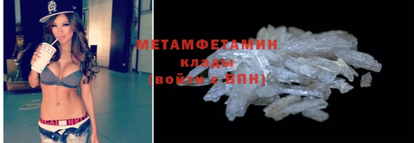 шишки Апатиты