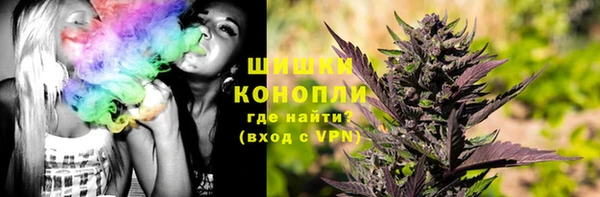 сатива Анива
