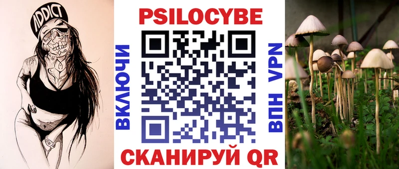Купить закладки  Звенигово  Псилоцибиновые грибы мицелий 