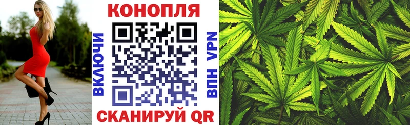 Бошки Шишки планчик  Купить где  Звенигово 